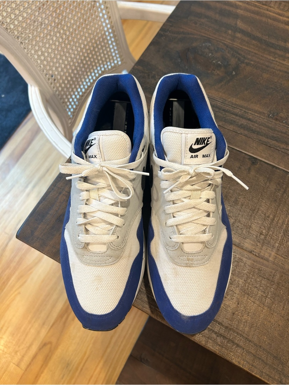 Nike Air Max Mesh Sneakers in White and Blue